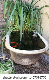 Old Tub As A Water Feature In Our Front Yard.