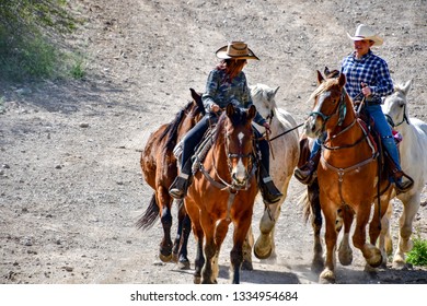 Old Tucson, Arizona - 9 March 2019: Horse Wranglers Bringing The Ponies To The Steampunk Convention.
