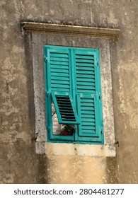 Old turquoise window with one shutter slightly open showing a red flower in house facade