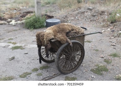 Old Two-wheeled Transport For Waste Transport In The Slaughterhouse