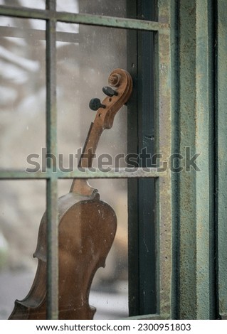 Old und vintage violin in the window