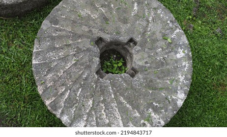 Old Used Mill Stone On Grass