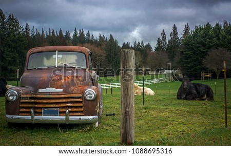 Old vehicle and cow