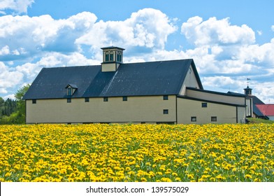 An old Vermont barn floats in a field of dandelions. - Shutterstock ID 139575029
