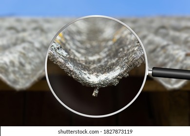 Old and very dangerous asbestos roof. Asbestos dust in the environment. Health problems. View through magnifying glass - Shutterstock ID 1827873119
