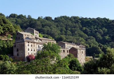 Old Village Of Costa Verde And Chestnut Grove In Corsica Mountain 