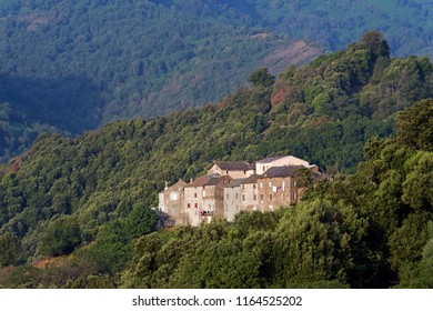 Old Village Of Costa Verde And Chestnut Grove In Corsica Mountain 