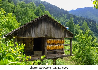 Old Village Houses In The Forest, Borcka, Macahel, Artvin, Black Sea