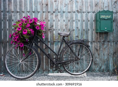 Old Vintage Bicycle With Flower Basket 