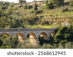 Old vintage bridge with big arches and columns among nature with green gardens and blue sky , European old concept landscape