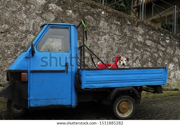 Old vintage\
car in blue, with a dog in the\
trunk.