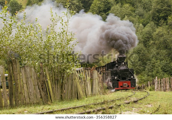 Old vintage\
train in green forest with big\
smoke