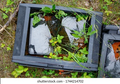 Old Vintage Tv With Broken Screen In The Forest. 
Dismantled Smashed Television Set With Plants And Weeds Growing
