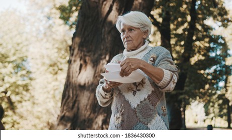 Old Vulnerable Homeless Woman Getting Free Charity Meal. High Quality Photo