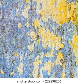 Old Wall