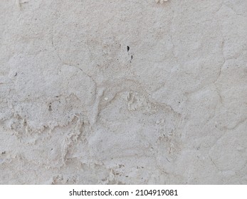 Old Wall Have Black Mold Texture Background Wallpaper