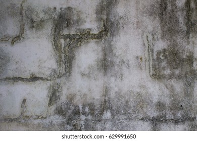 Old Wall With Lemongrass Water.