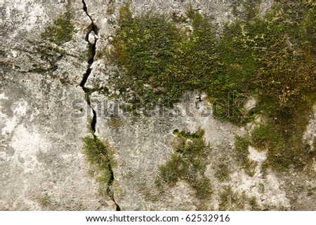 old wall with moss