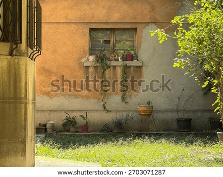 Old wall with rustic window and potted plants. Vintage texture, sunlight, and quiet charm of neglected urban corner.