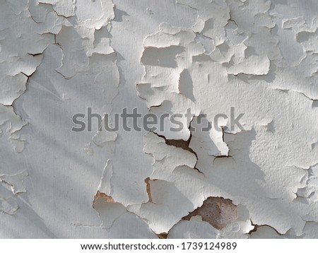 

old wall with white paint fell off texture sunny