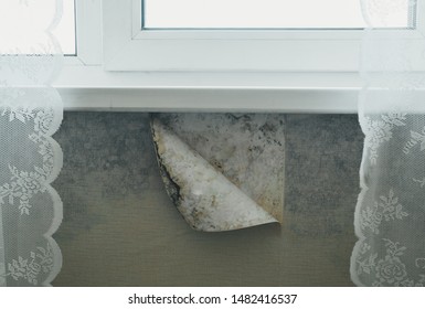 Old wallpaper yellowing from damp and mold . Damp and mold under the window in the room. - Powered by Shutterstock