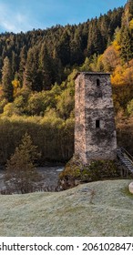 Old watchtower at the edge of the forest