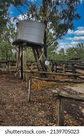 Old water tank made of corrugated iron, resting on a sturdy wooden structure. Barmah, Victoria, Australia.

