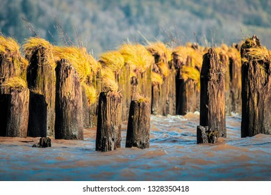 Old Wave Breakers