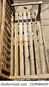 The  Old Weathered Boat Varnish Has Almost Completely Flaked Off From The Wooden Garden Bench After 2 Years, Winters. Better Idea Is Using Natural Oil To Impregnate Surface Of Hardwood