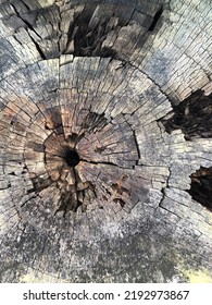 Old weathered cut tree stump with circles or rings cracks and lines, distressed grunge texture background, vintage aged rustic image - Shutterstock ID 2192973867