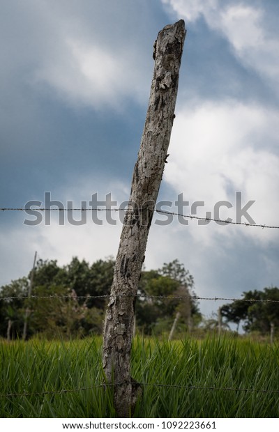 Old weathered fence post on\
lush grass farmland in the countryside. Cloudy skies in\
background.