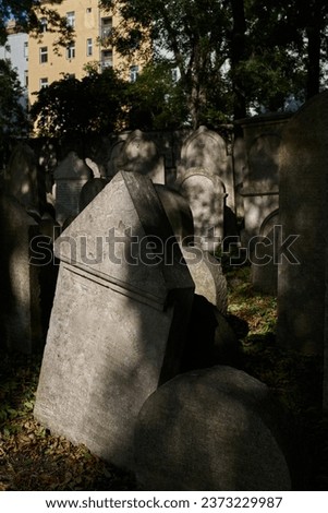  old weathered gravestones on a historical Jewish cemetery in Prague-Žižkov district                               