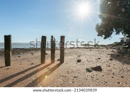 Old weathered jetty posts standing in row on beach casting shadow on sand