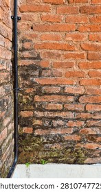 An old, weathered red brick wall, features dark green moss, mold, and damp patches.