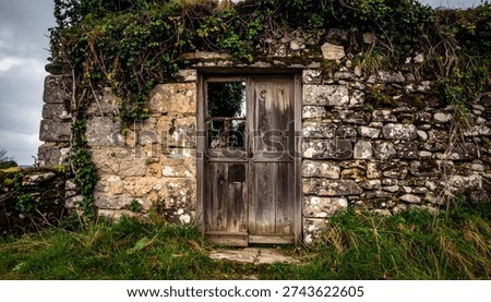 An old, weathered stone wall with a rustic wooden door stands overgrown with ivy and moss under a cloudy sky.