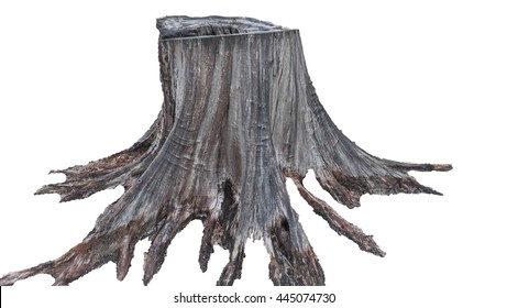 Old Weathered Tree Stump With Root Isolated On White