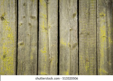 Old weathered wood planks covered with green moss - Powered by Shutterstock