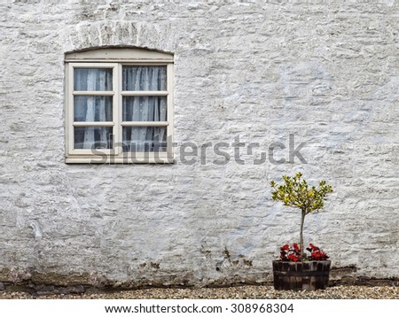 Similar – Image, Stock Photo Room with a view Plant