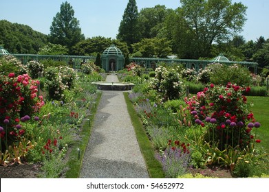 Old Westbury Gardens Roses