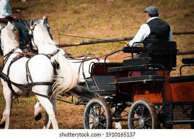 Old Western Scene. Amish Head Of Church During His Daily Rounds. Mid-century Farm Life, Rural Environment, Horse And Carriage In The Open Air.