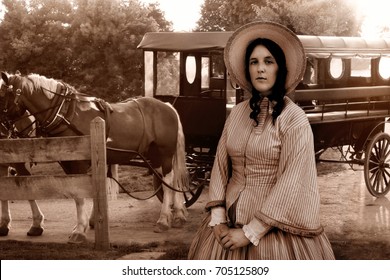 Old Western Woman And Amish Carriage