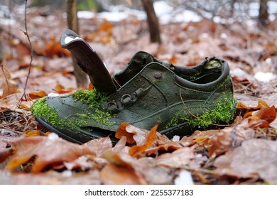 Old wet shoe overgrown with green moss lies in winter forest - Shutterstock ID 2255377183