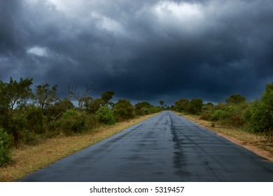 Old Wet Tar Road In Straight Line Between Bushes; Rainy Weather