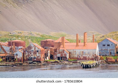 Old Whaling Station, Leith Harbour