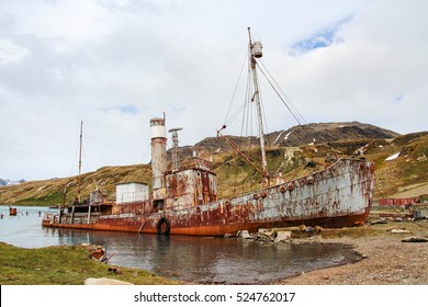 136 Meat cove Images, Stock Photos & Vectors | Shutterstock