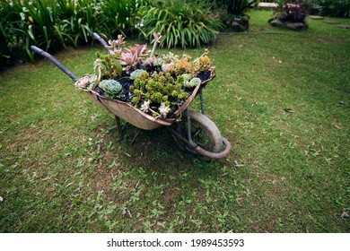 Old Wheelbarrow Upcycling To Garden Deco