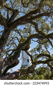 Old white brick lighthouse through limbs of an old live oak tree