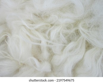             Old white color synthetic fur, white wool texture background, white fleece, light natural sheep wool, paint roller brush fur, top view leather and soft wool texture background              - Shutterstock ID 2197549675