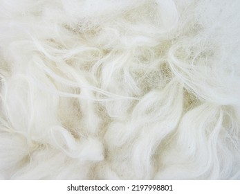                   Old white color synthetic fur, white wool texture background, white fleece, light natural sheep wool, paint roller brush fur, top view leather and soft wool texture background        - Shutterstock ID 2197998801