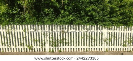 Similar – Image, Stock Photo Stories from the fence .156